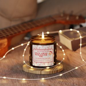 I Have A Huge Package For You Scented Soy Candle